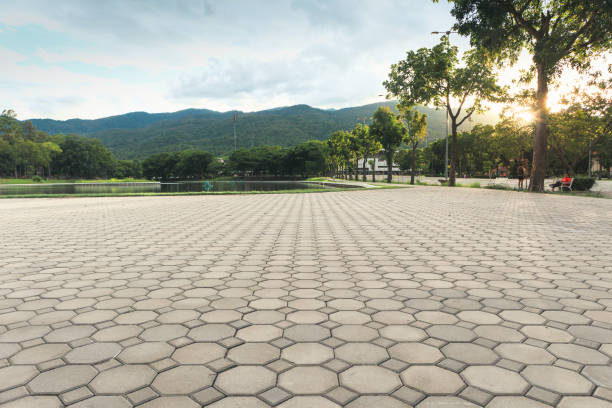 Best Concrete Paver Driveway  in Wilson, NC